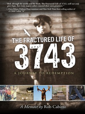 cover image of The Fractured Life of 3743